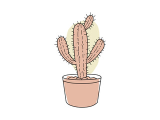 colorful cactus vector for ornamental plants
