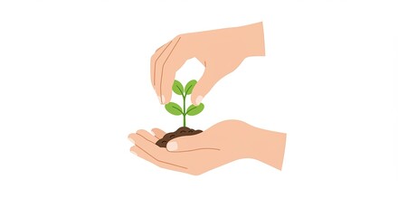 Illustration of hands carefully planting a green seedling into the soil