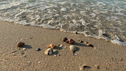 A tranquil beach with gentle waves, seashells, and soft sand at sunrise.
