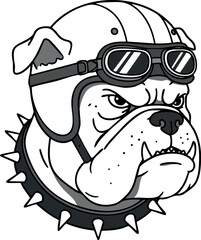 Fototapeta premium Bulldog wearing motorcycle helmet with goggles and spiked collar vector illustration 