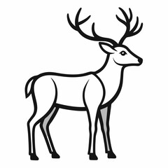 Caribou on white background 