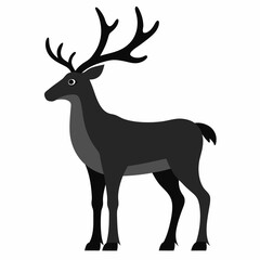 Caribou on white background 