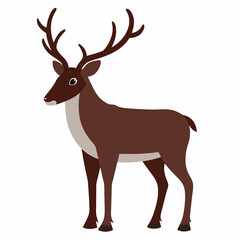 Caribou on white background 