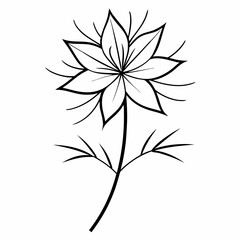 Love-in-a-Mist flower on white background 