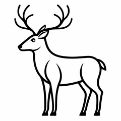 Caribou on white background 