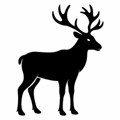 Caribou on white background 