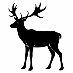 Caribou on white background 