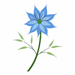 Love-in-a-Mist flower on white background 