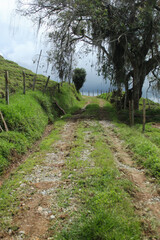 roads surrounded by landscapes, forests, nature and illuminated by sunlight and adorned by clouds...