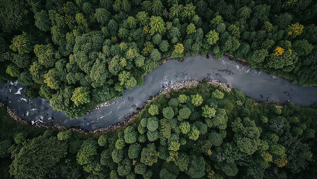 Aerial view serene river bend lush green landscape tranquil nature scene - Powered by Adobe