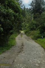 roads surrounded by landscapes, forests, nature and illuminated by sunlight and adorned by clouds...