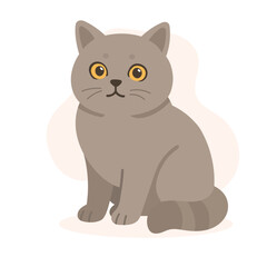 British shorthair cat with plush grey coat sits still and stares. This british shorthair cat visual balances quiet charm and dignified feline presence.