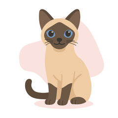 Siamese cat with blue eyes and dark points sits watching calmly. This siamese cat vector reflects elegance and intelligence of siamese cat breed.