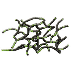 Surealism Biomorphic