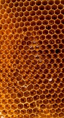 A detailed macro photograph of a natural honeycomb, filled with glistening golden honey. The hexagonal cells create a perfect, organic geometric pattern. Warm, natural lighting.