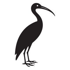 Obraz premium Ibis bird silhouette vector graphic