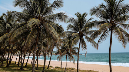 Obraz premium Serene beachfront paradise with ocean and palm trees