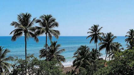 Fototapeta premium Serene beachfront oasis with ocean and palm trees