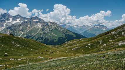 Obraz premium Failed to generate title