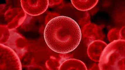 Blood Cells in Focus -  A microscopic view of vibrant red blood cells, showcasing the intricate details of human biology, essential for medical, scientific, and educational materials.