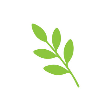 Simple green leaf branch illustration with seven fresh leaves on a white background. Clean, minimal botanical design perfect for eco, nature, and organic themes.


