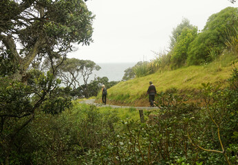 Tourist walking around Waipu pancake rocks in Waipu, New Zealand.	
