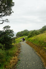 Tourist walking around Waipu pancake rocks in Waipu, New Zealand.	
