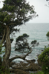 Beautiful view at Waipu beach in Whangarei, New Zealand on cloudy day.