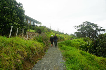 Tourist walking around Waipu pancake rocks in Waipu, New Zealand.	
