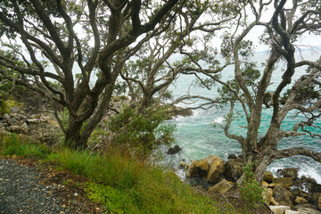 Beautiful view at Waipu beach in Whangarei, New Zealand on cloudy day.