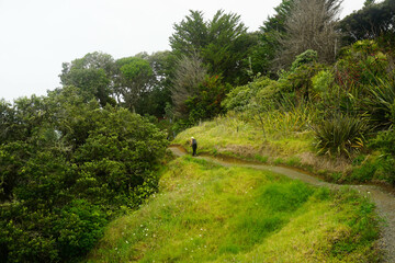 a woman walking around Waipu pancake rocks in Waipu, New Zealand.