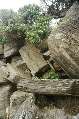 The unique and beautiful shape and composition of rocks at Waipu pancake rocks, New Zealand.