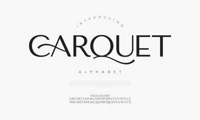 Elegant and artistic serif font with flowing curves and timeless charm, ideal for high-end branding