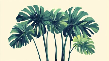 Obraz premium Tropical Monstera Leaves Against Cream Background