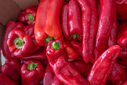 Rew red organic bell peppers in a box