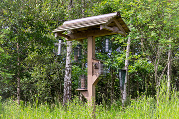 Wooden Bird Feeding Station in a Woodland Clearing