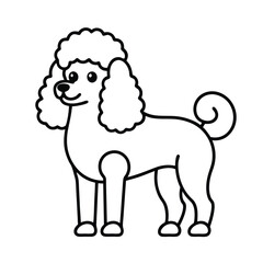 Poodle dog icon line art illustration on white background