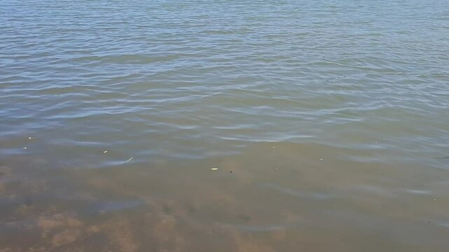 Calm rippling freshwater surface under daylight. Natural brown-green tones ideal for background, environment, or aquatic-themed stock content.