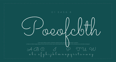 signature Font Calligraphy Logotype Script Brush Font Type Font lettering handwritten  