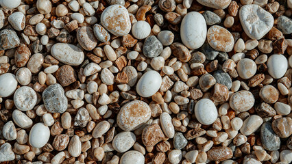 Coastal treasures mosaic -  A diverse collection of seashells and pebbles, creating a mosaic of natural beauty and a testament to the coast. Captured in a close-up.