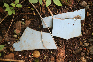 Scattered Blue Wood Pieces in Nature