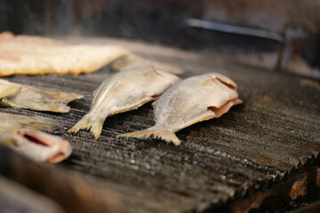 Grilling fresh fish on a rustic grill at a summer cookout