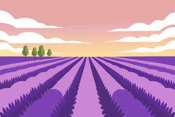 Sun-kissed lavender fields in Provence, France, under a vibrant sunset sky create a stunning summer landscape