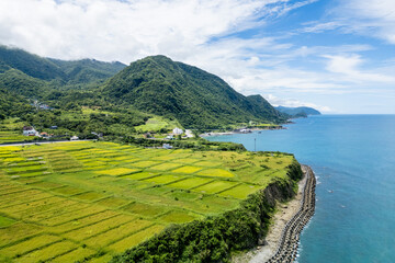 Aerial view of Xinshe Terraces by the sea in Hualien County, Taiwan