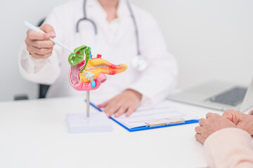 Elderly Patient consultation with doctor for Pancreas, Gallbladder, Bile Duct, Duodenum, Small intestine. Pancreatic cancer, Acute and Chronic pancreatitis, Digestive system and medical healthcare
