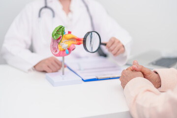 Elderly Patient consultation with doctor for Pancreas, Gallbladder, Bile Duct, Duodenum, Small intestine. Pancreatic cancer, Acute and Chronic pancreatitis, Digestive system and medical healthcare