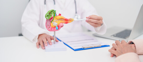 Elderly Patient consultation with doctor for Pancreas, Gallbladder, Bile Duct, Duodenum, Small intestine. Pancreatic cancer, Acute and Chronic pancreatitis, Digestive system and medical healthcare