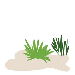 Green grass growing, symbolizing healthy vegetation, perfect for nature, outdoor, and landscaping-themed designs.