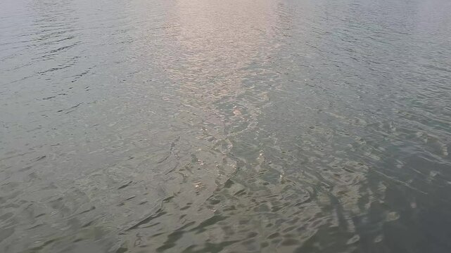Peaceful Lake with Small Waves and Ripples in Natural Light
