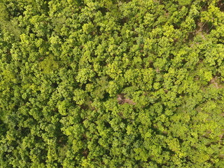 Obraz premium Top View Aerial Photograph
